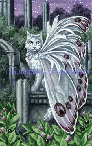 (image for) Belladonna